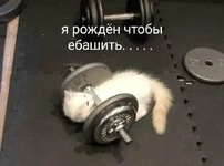1776747712718.webp