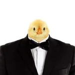 1778253943074.webp