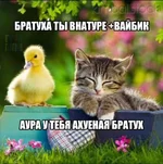 1778665417973.webp
