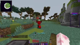 Minecraft Screenshot 2026.05.17 - 20.27.58.12.webp