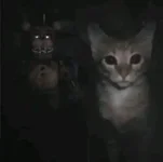 1782444691509.webp