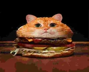 cheeseburcat.webp