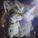 загруженное (13).webp