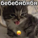 1783611421396.webp