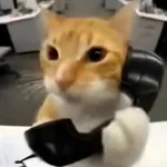 загруженное.webp