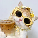 1785867355411.webp