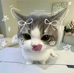 1785947590408.webp