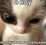 1786301415866.webp