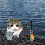 1786317637273.webp