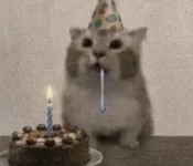 1786473906926.webp
