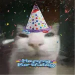 1786474085991.webp