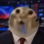 1786823220276.webp