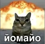 80b781691d46d7f7a352a349ff48515f.webp
