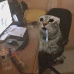 1787766378799.webp
