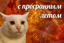 images (12).webp