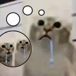 1788435268839.webp