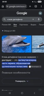 Screenshot_20261011_090025_Chrome.webp