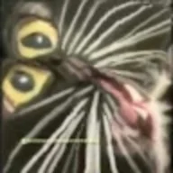 ZeoTer