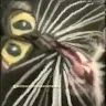ZeoTer